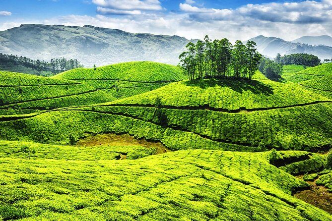 Best of Kerala Tour - Periyar’s full-day activities: bamboo rafting and border hiking
