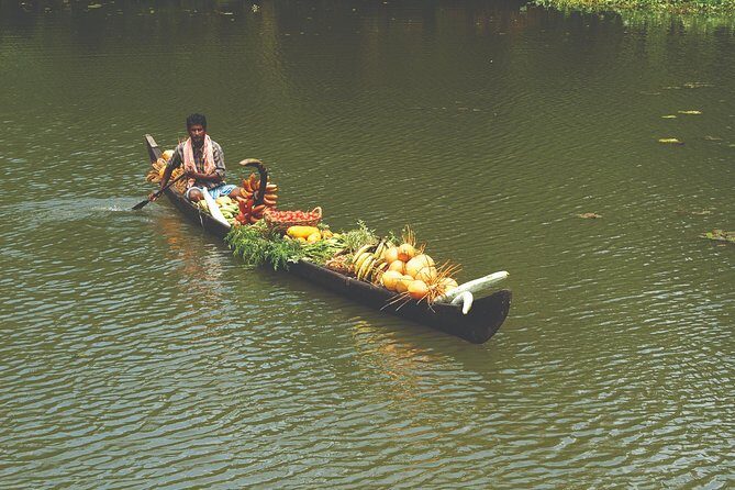 Best of Kerala Tour Package 7 nights / 8 days by Sanguine Holidays - Eravikulam National Park area: Nilgiri tahr and classic viewpoints