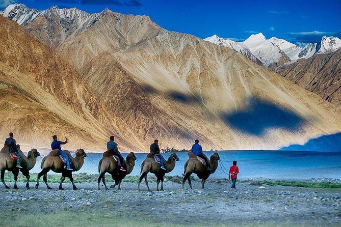 Best Of Ladakh - Leh’s royal look: Leh Palace, Shey, and Thiksey’s Potala-style view