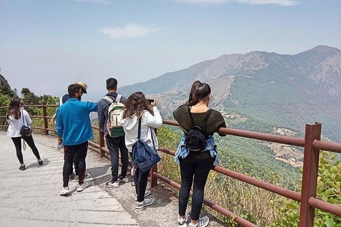 Bhadraj Forest Trek - Dudhli by 11am: the juice break and the shift into forest walking
