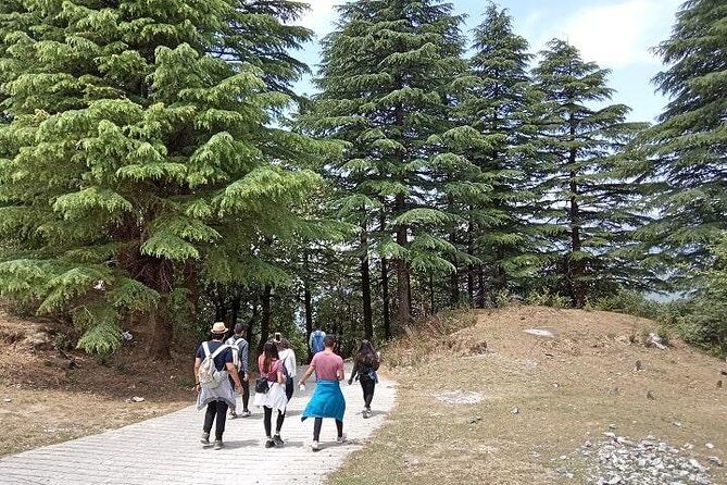 Bhadraj Forest Trek - Reaching Bhadraj Hill: temple views and that 360-degree payoff