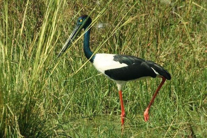 Bird Sanctuary, Bharatpur & Taj Mahal, Agra Day Tour from Delhi - From 6am Delhi pickup to Keoladeo: the comfort setup matters