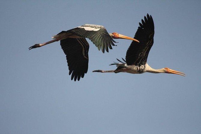 Bird Sanctuary, Bharatpur & Taj Mahal, Agra Day Tour from Delhi - Drive to Agra: around 1.5 hours, then you reset