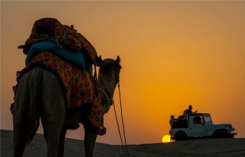 Blissful Half Day Sunset Camel Safari with Musical Evening - Practical Tips: What to Bring for a Comfortable Desert Evening