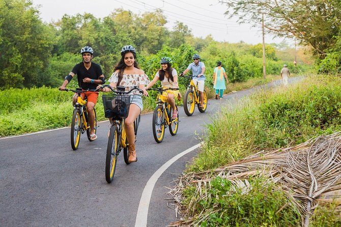 BLive Electric Bike Tours – Discovery of Divar Island - From Old Goa to Divar by ferry: the moment the tour really starts