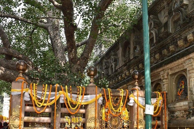 Bodhgaya Day Tour (Hotel Pickup) - Metta Buddharam, Thai Monastery, and Royal Bhutan: monasteries with different styles