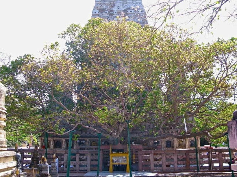 BODHGAYA FULL DAY TOUR - Key Things I’d Watch For
