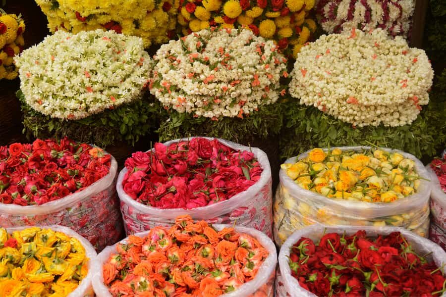 Build Your Own: Customizable Private Tour of Kolkata - How the private day actually works (and how to get the most out of it)