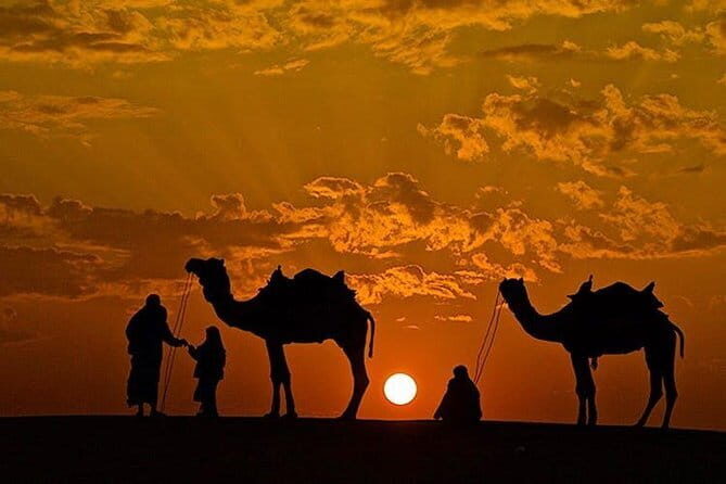 Camel Desert Safari with Sunset -The Pushkar Route - Your camel driver: the difference between doing it and enjoying it