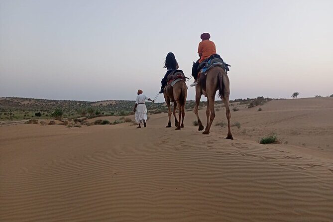 Camel Ride during Sunrise with breakfast - Camel ride basics: how to enjoy the hour on the dunes