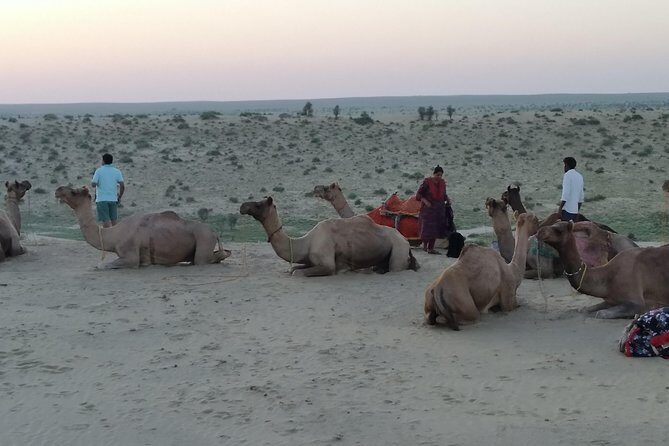 Camel Safari - Key moments you’ll actually feel