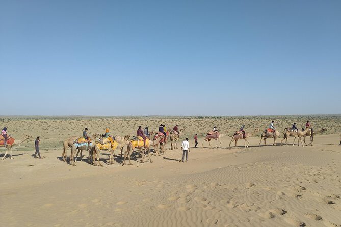 Camel Safari - From Jaisalmer pickup to the camel meet point