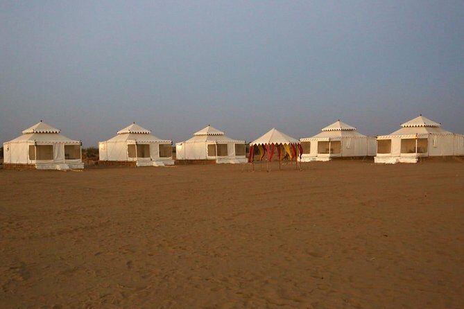 Camel Safari - The ride: dunes, ponds, and real desert time