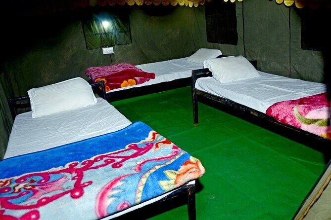 Camping in Rishikesh - 1N 2D - Bonfire With Music: The Social Reset at Night