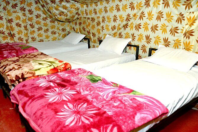 Camping in Rishikesh - 1N 2D - Beds in a Tent: Comfort That Changes the Whole Night