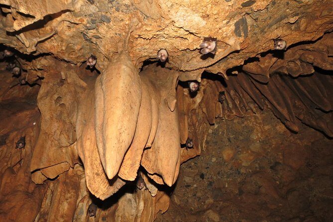 Caving Tour in Rishikesh - 6 Hrs. - Price and Logistics: Where the Day Can Flex