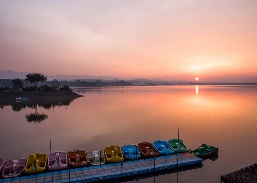 Chandigarh Nightlife Tour with shopping and food tasting - Sector 17 After Dark: Street Cafes, Neelam Cinema Art, and TDI Mall