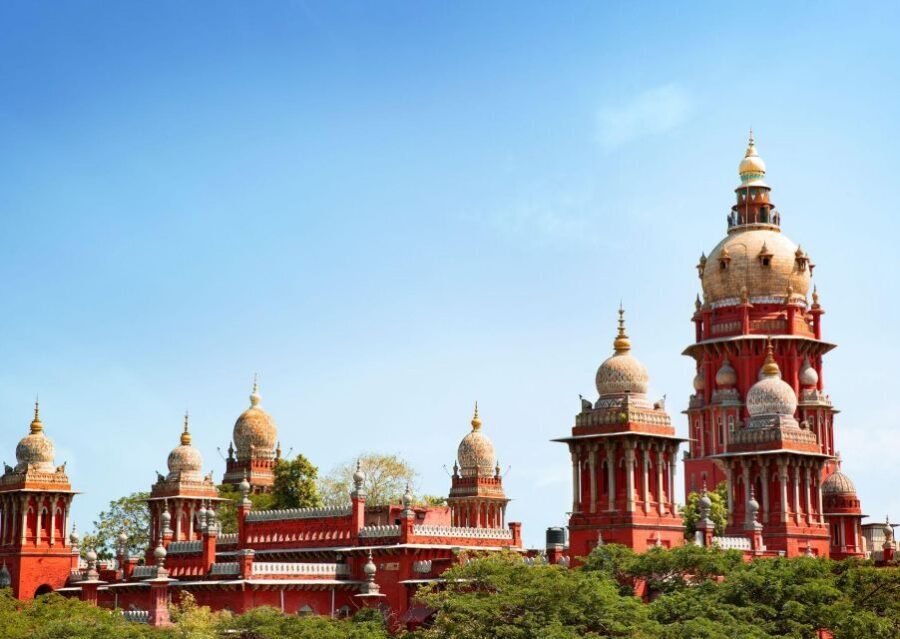 Chennai Walking Tour ( 2 hours guided tour) - Practical tips so you don’t waste time on minor problems