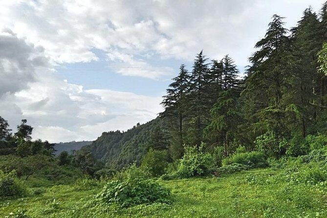 Chhaskhet Nature Walk - Key things I’d put on your radar