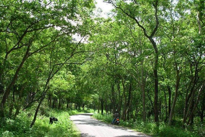 Chinnar Wild-life Visiting Tour (Eravikulam National Park) - Price and logistics: what $44.26 per group really means