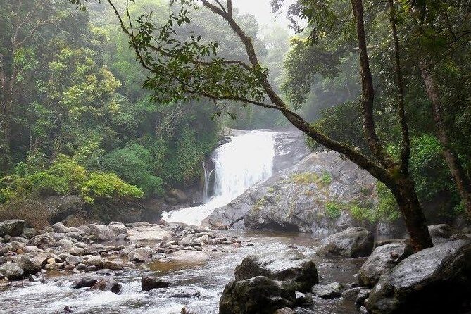 Chinnar Wild-life Visiting Tour (Eravikulam National Park) - Marayoor Sandalwood Forest ride: deer spotting without the big commitment