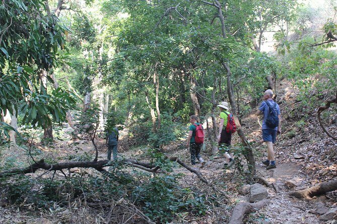 Chinnar wild valley experience day tour ( By Munnar Info) - Your day starts in Munnar: meeting point, pace, and comfort