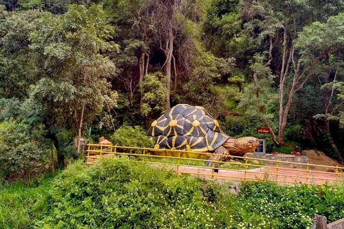 Chinnar wild valley experience day tour ( By Munnar Info) - Price and value: what your $79.34 really covers