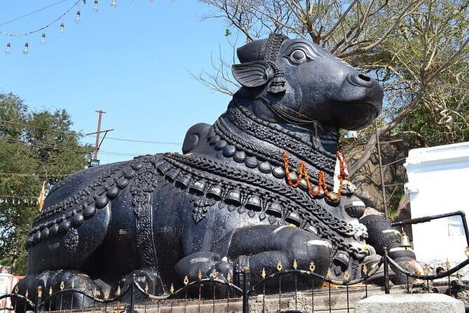 City tour of Beautiful Bengaluru - Half Day - Key things you’ll notice on this tour