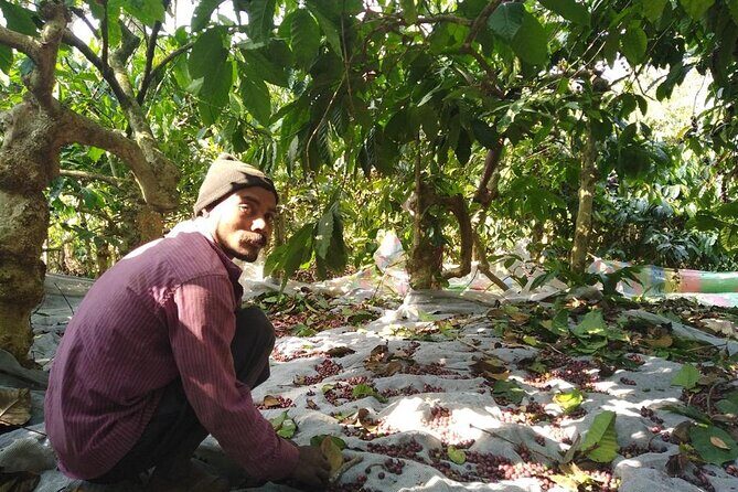 Classic Coorg Coffee Plantation experience - The tasting lesson: how to get more from the host-house stop