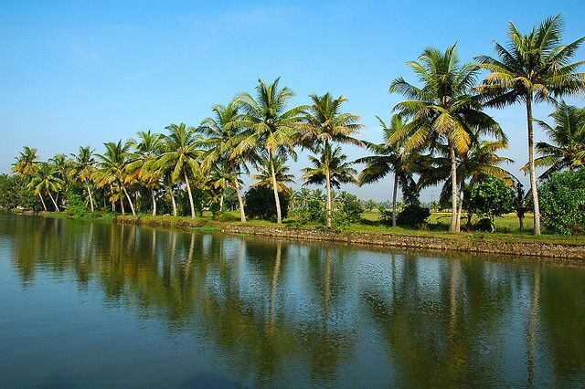 Cochin : Alleppey/Alappuzha Backwater Canoe (Shikara) Cruise - Cochin to Alappuzha: the AC ride that sets your expectations