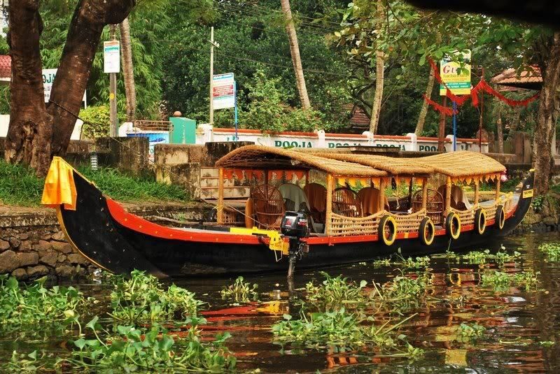 Cochin : Alleppey/Alappuzha Backwater Canoe (Shikara) Cruise - Why the smaller canoe cruise can feel better than big boats