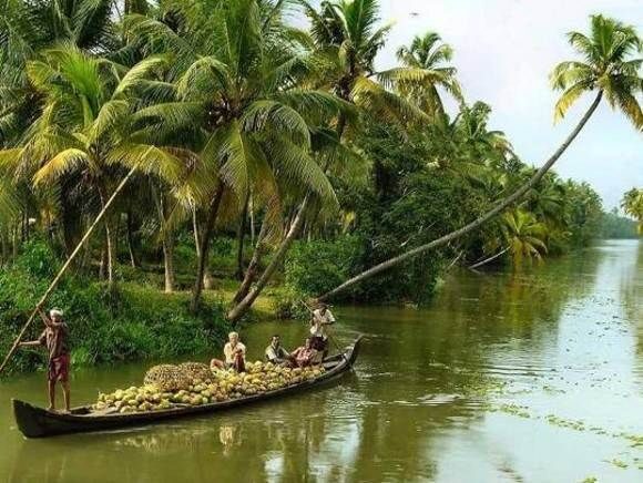 Cochin : Alleppey/Alappuzha Backwater Canoe (Shikara) Cruise - Getting on board: what happens at the Cochin berth