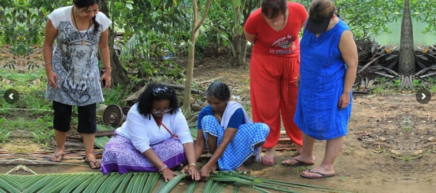 Cochin: Backwater Village Eco Boat Cruise with Lunch - Getting On the Covered Country Boat (and Why It Matters)