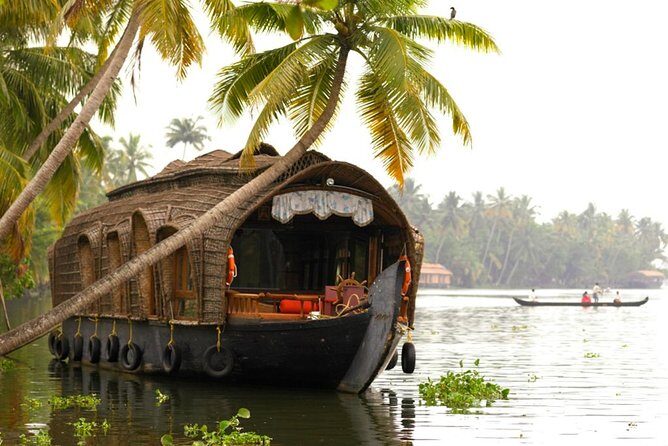 Cochin City or Backwater Shore Excursions from Cruise Terminal - Alleppey Backwaters Cruise: The 2 Hours That Feel Like Kerala