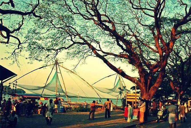 Cochin City or Backwater Shore Excursions from Cruise Terminal - Fort Kochi and the Chinese Fishing Nets Stop: Photo Stop With Real Life