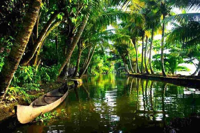 Cochin Heritage Tour With Alleppey Houseboat Cruise - Alleppey backwaters cruise (about 3 hours): what you’re really buying