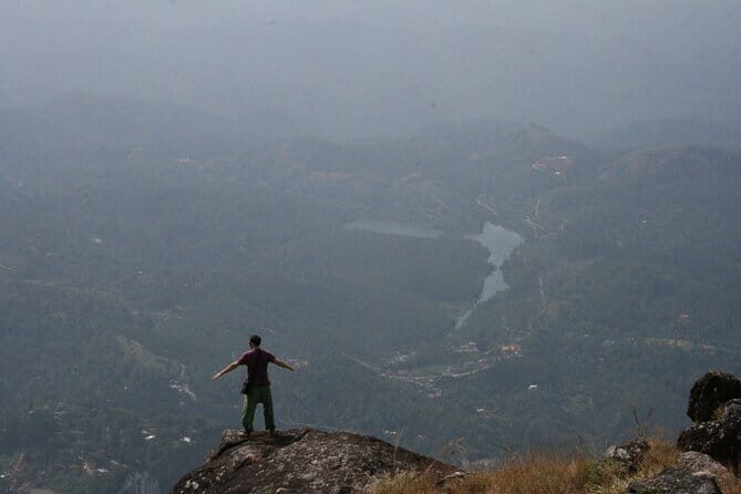 Cochin to Munnar Day trip - Price and value: $78.20 per group up to 3 people