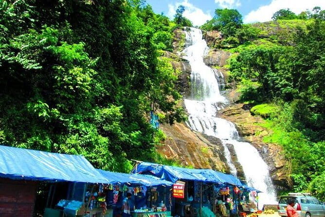 Cochin to Munnar Day trip - The driver-guide experience (and what “private” changes for you)