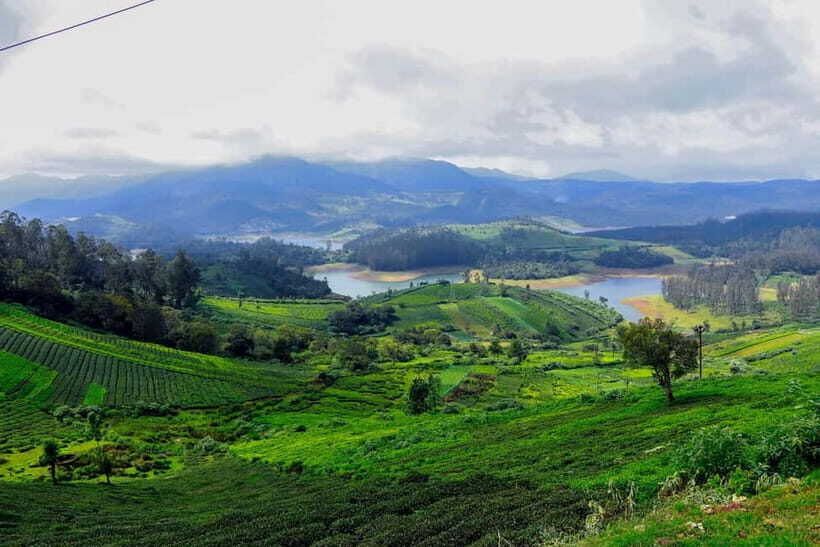 Coimbatore: Ooty Day Trip with Private Cab - Key things I’d put at the top
