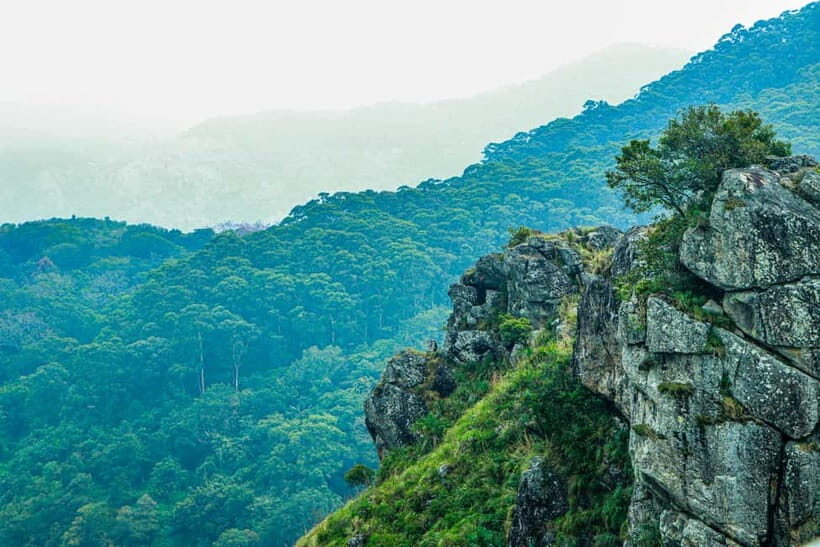Coimbatore: Ooty Day Trip with Private Cab - Private Cab From Coimbatore: Less Stress, More Control