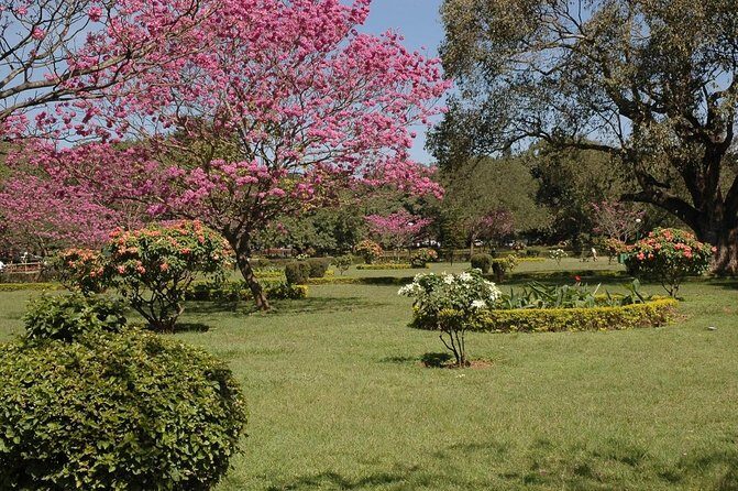 Cubbon Park Walk- Namma Bengaluru Heritage Walk - Key highlights worth showing up for