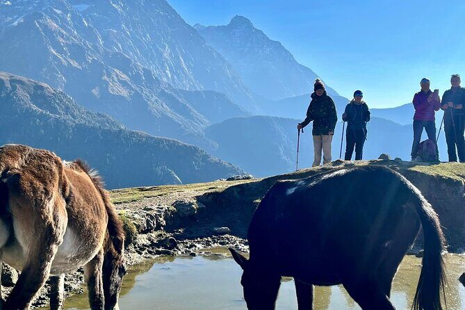Dalai Lama Himalayan Trek - Price and logistics: What $1,463.90 really buys you