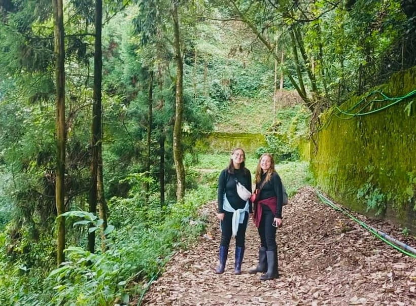 Darjeeling Cultural & Nature Walking Guided Tour - Key Highlights You’ll Actually Feel On This Walk