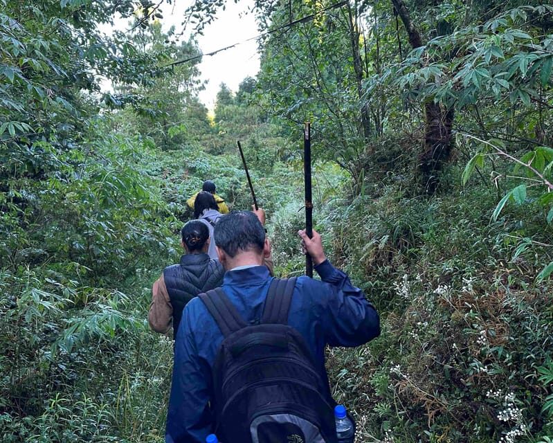Darjeeling: Tiger Hill Sunrise Hike – Guided Day Trip - Tenzing Norgay Road Back to Darjeeling (Alubari Road)