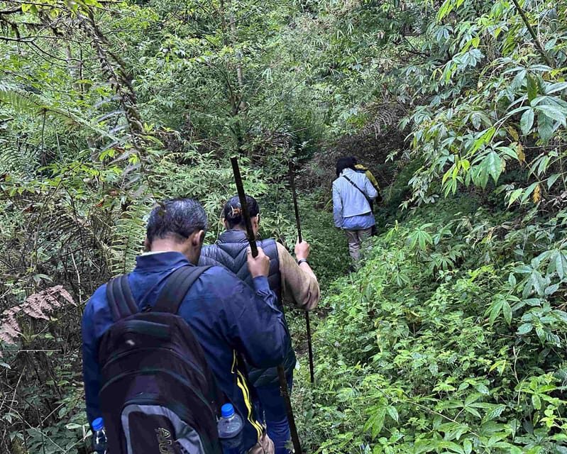 Darjeeling: Tiger Hill Sunrise Hike – Guided Day Trip - Finishing in Darjeeling Around 11 a.m. at Chowrasta
