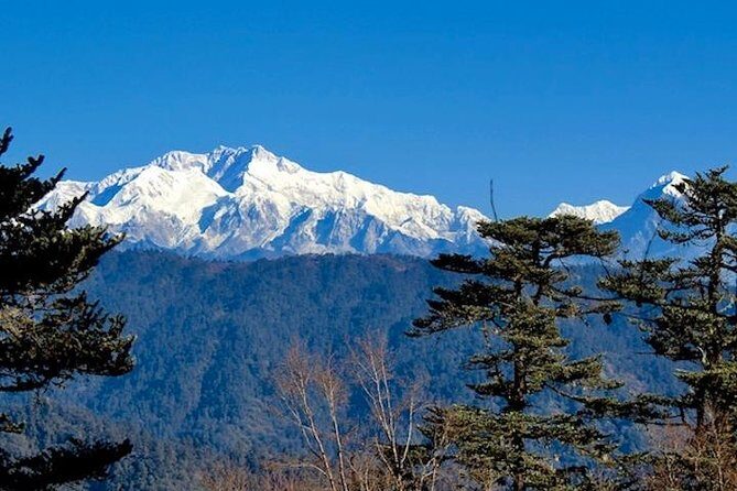 Darjeeling Tonglu Day Trek - Key highlights that matter on this Tonglu day hike