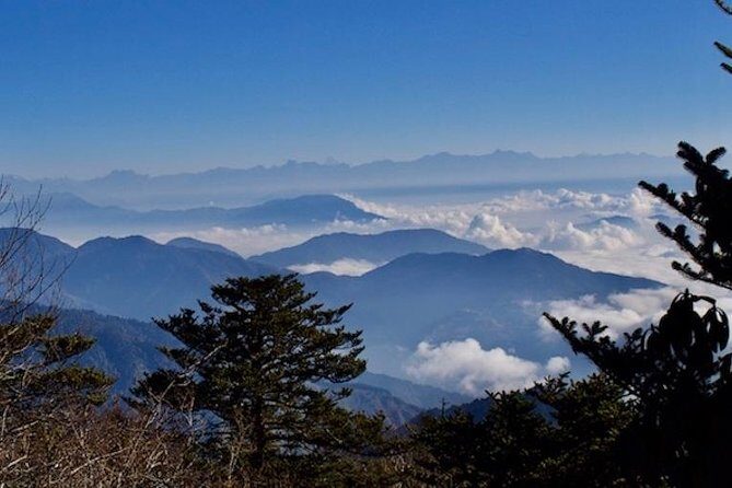 Darjeeling Tonglu Day Trek - Entering Tonglu: the 6:00 am departure and how the day flows