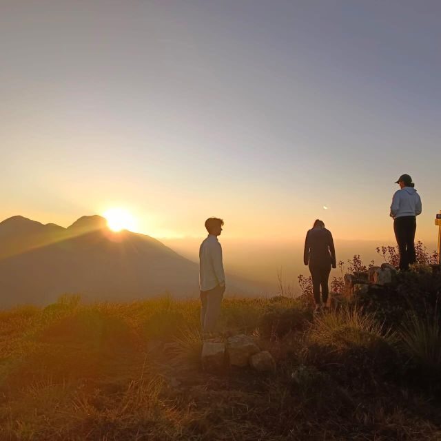 Dawn's Embrace: Sun Rise Trek at Lakshmi Hills, Munnar - Transport and Timing: How the Day Fits into Just 5 Hours
