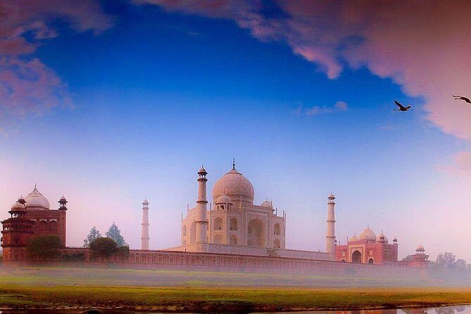 Day Tour Taj Mahal and Agra Tour From Delhi By Car 11 Hrs Only - Group Size, Privacy, and the Comfort Factor