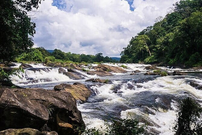 Day Trip to Athirappilly Water Falls by Kochi Taxi - Pickup from Kochi Port and the Comfort You Get for the Price